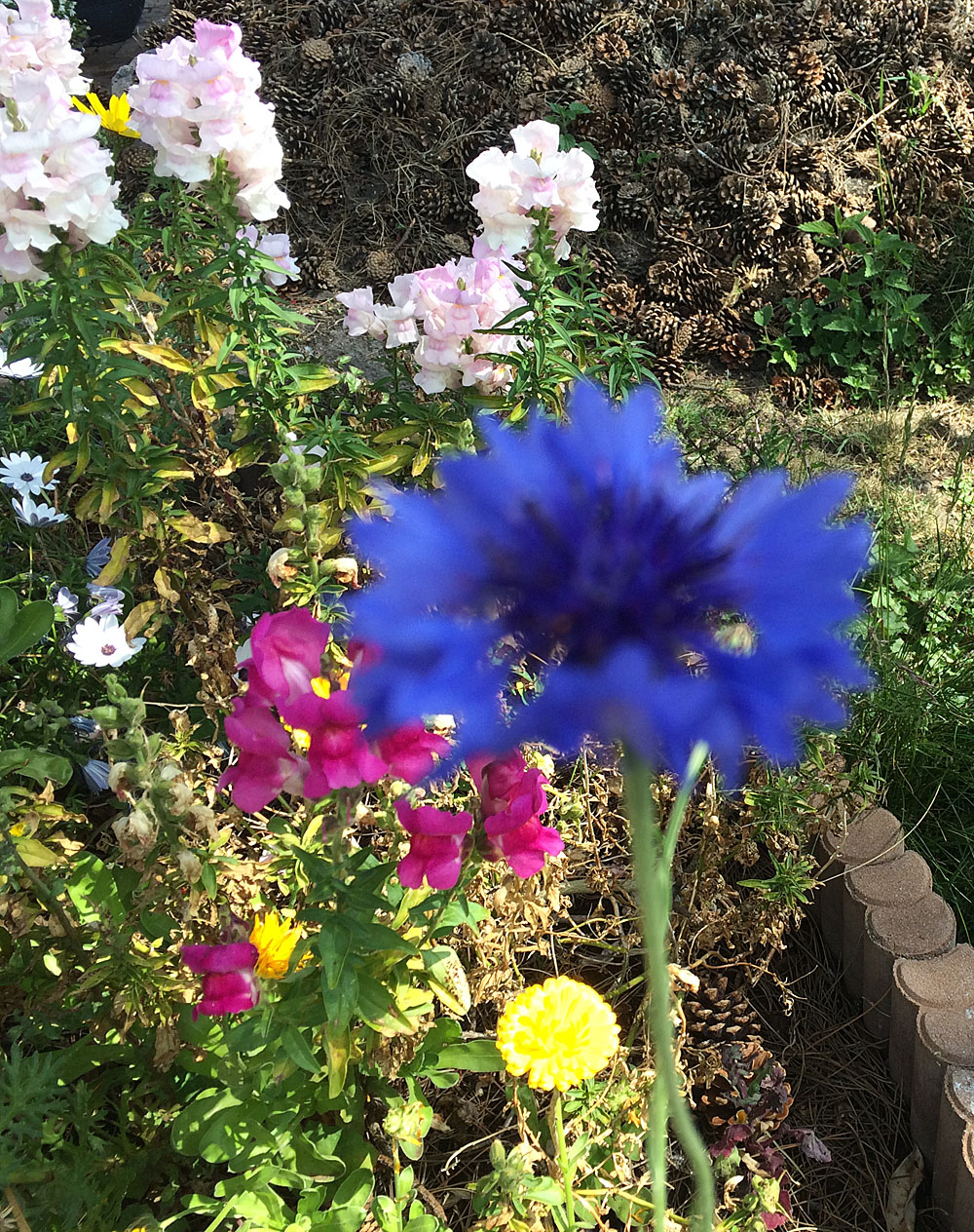 Kees van Rumpt 1942-2020